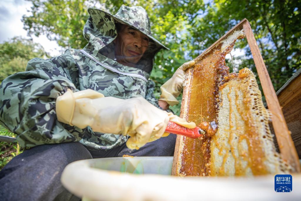 星空娱乐棋牌